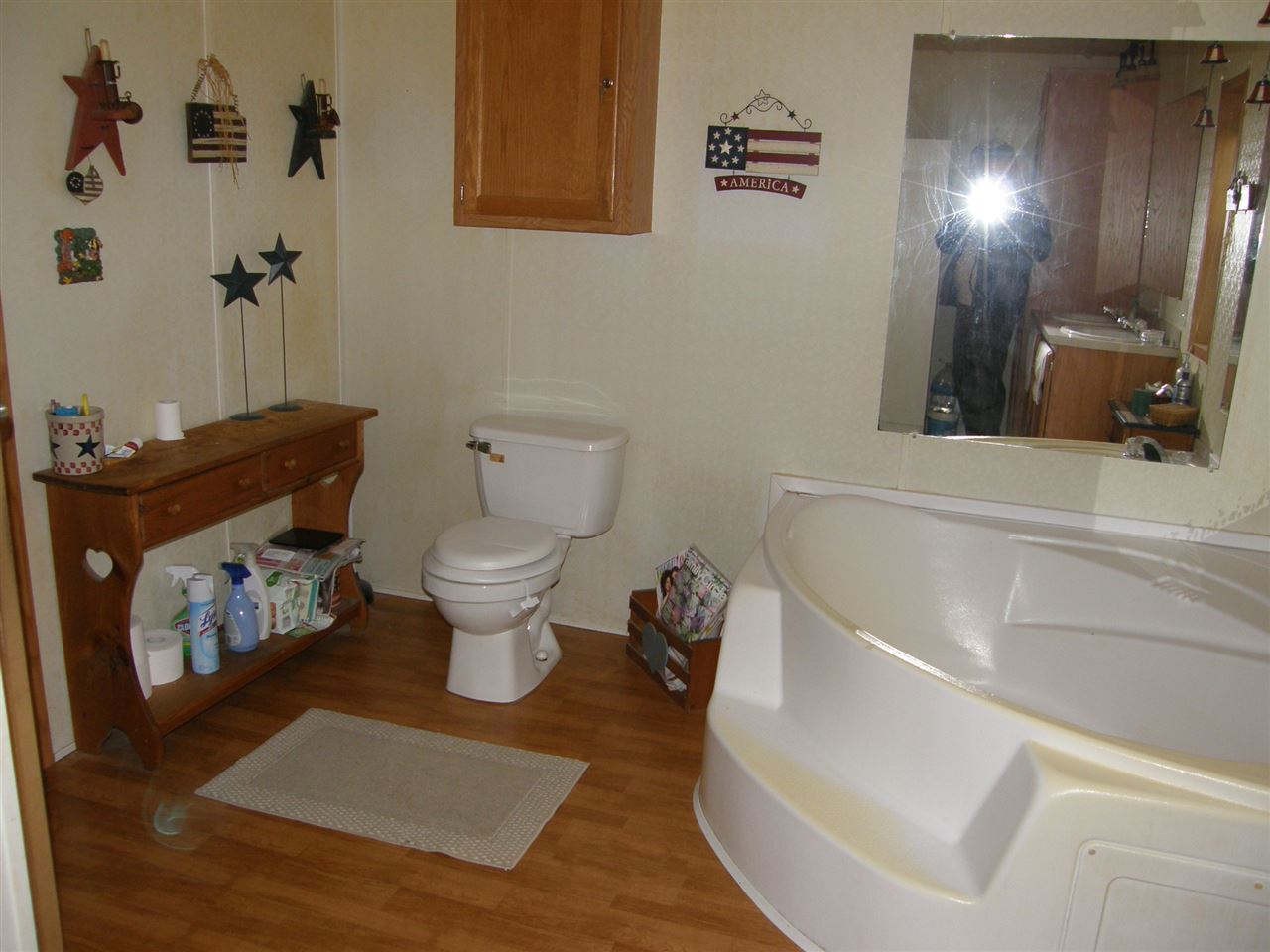 3585 West Redstone Road St. Louis, MI 48880 - Photo 22 of 22 1844739-22.JPG