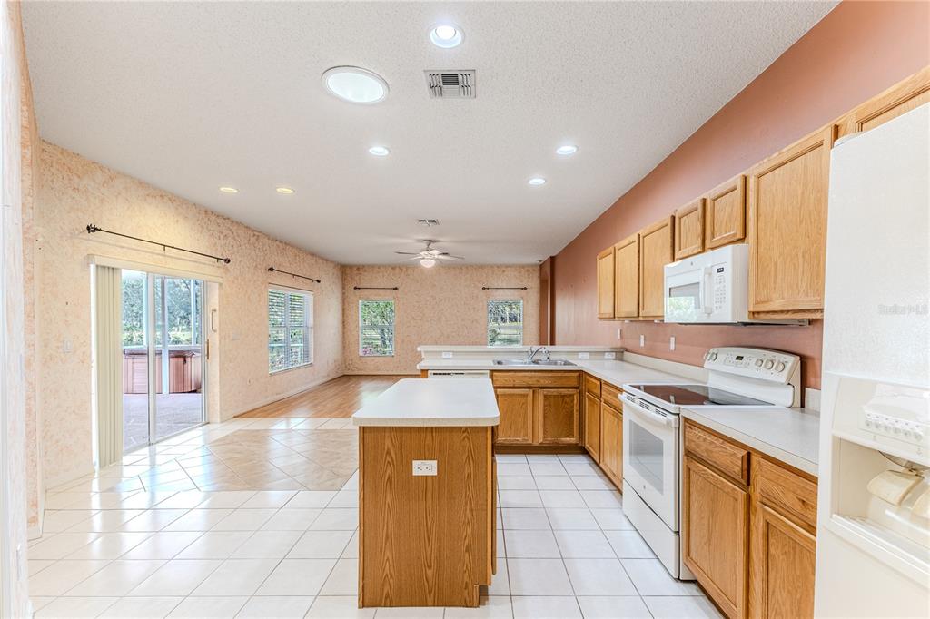 431 Quane Avenue Spring Hill, FL 34609 - Photo 16 of 62