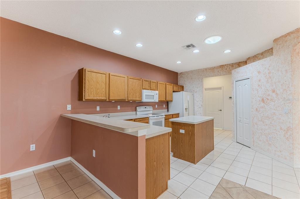 431 Quane Avenue Spring Hill, FL 34609 - Photo 20 of 62