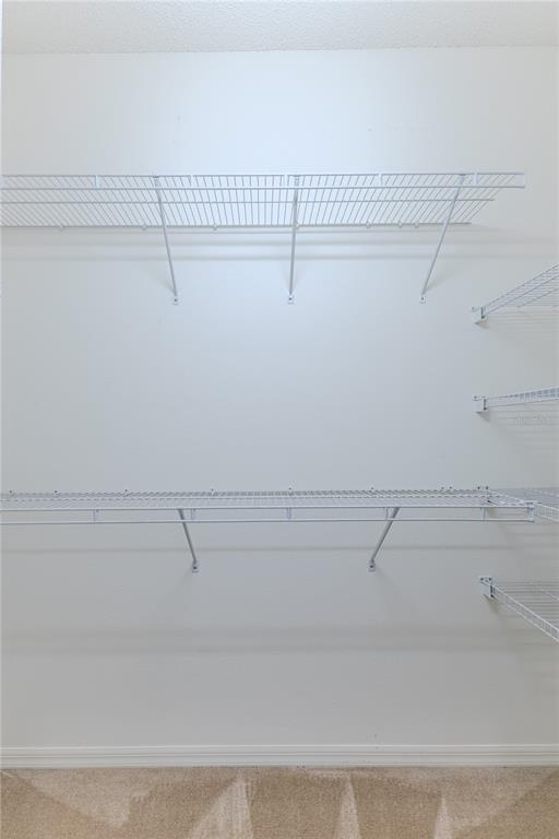 431 Quane Avenue Spring Hill, FL 34609 - Photo 33 of 62