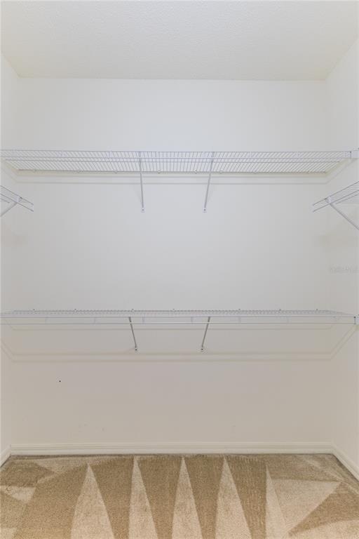 431 Quane Avenue Spring Hill, FL 34609 - Photo 34 of 62