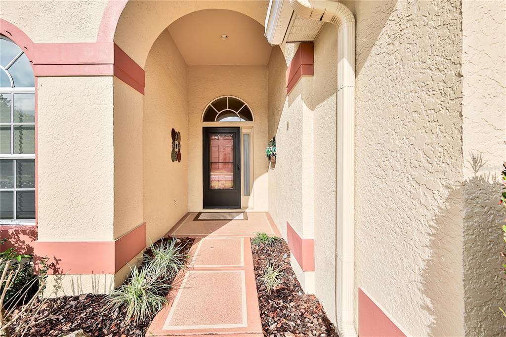 431 Quane Avenue Spring Hill, FL 34609 - Photo 5 of 62