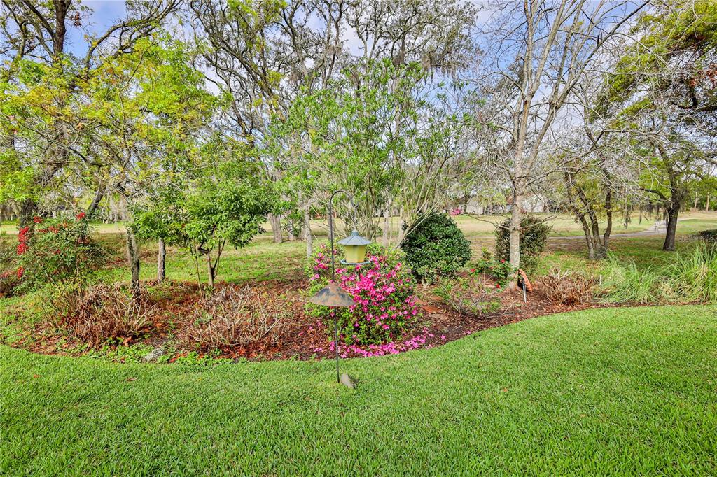 431 Quane Avenue Spring Hill, FL 34609 - Photo 59 of 62