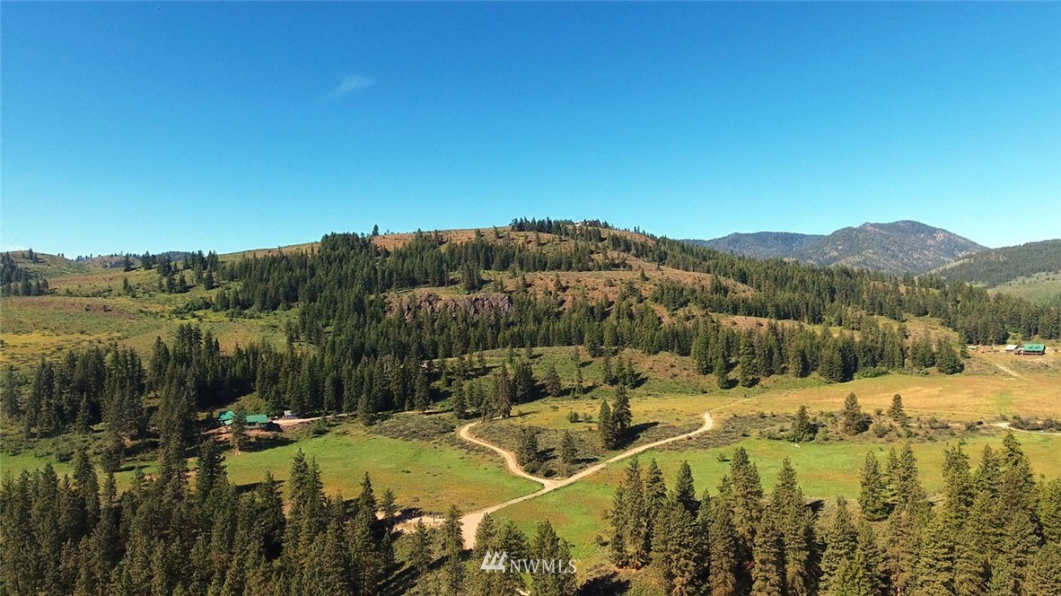60 Lobos Run Road Winthrop, WA 98862 - Photo 8 of 25 Gallery Image 8