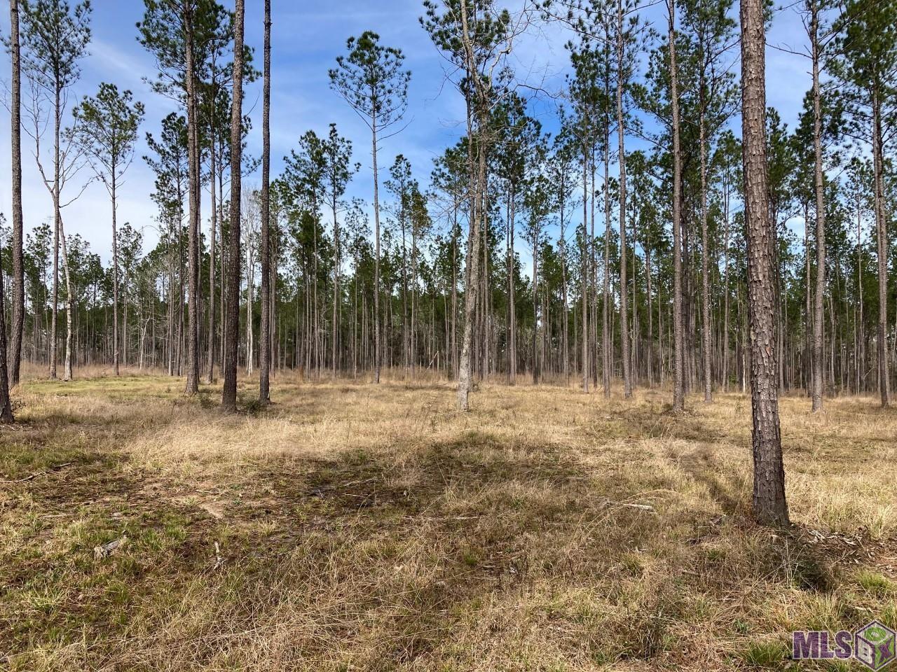 Y-1-a-1-d Pace Road Clinton, LA 70722 - Photo 2 of 5 Gallery Image 2