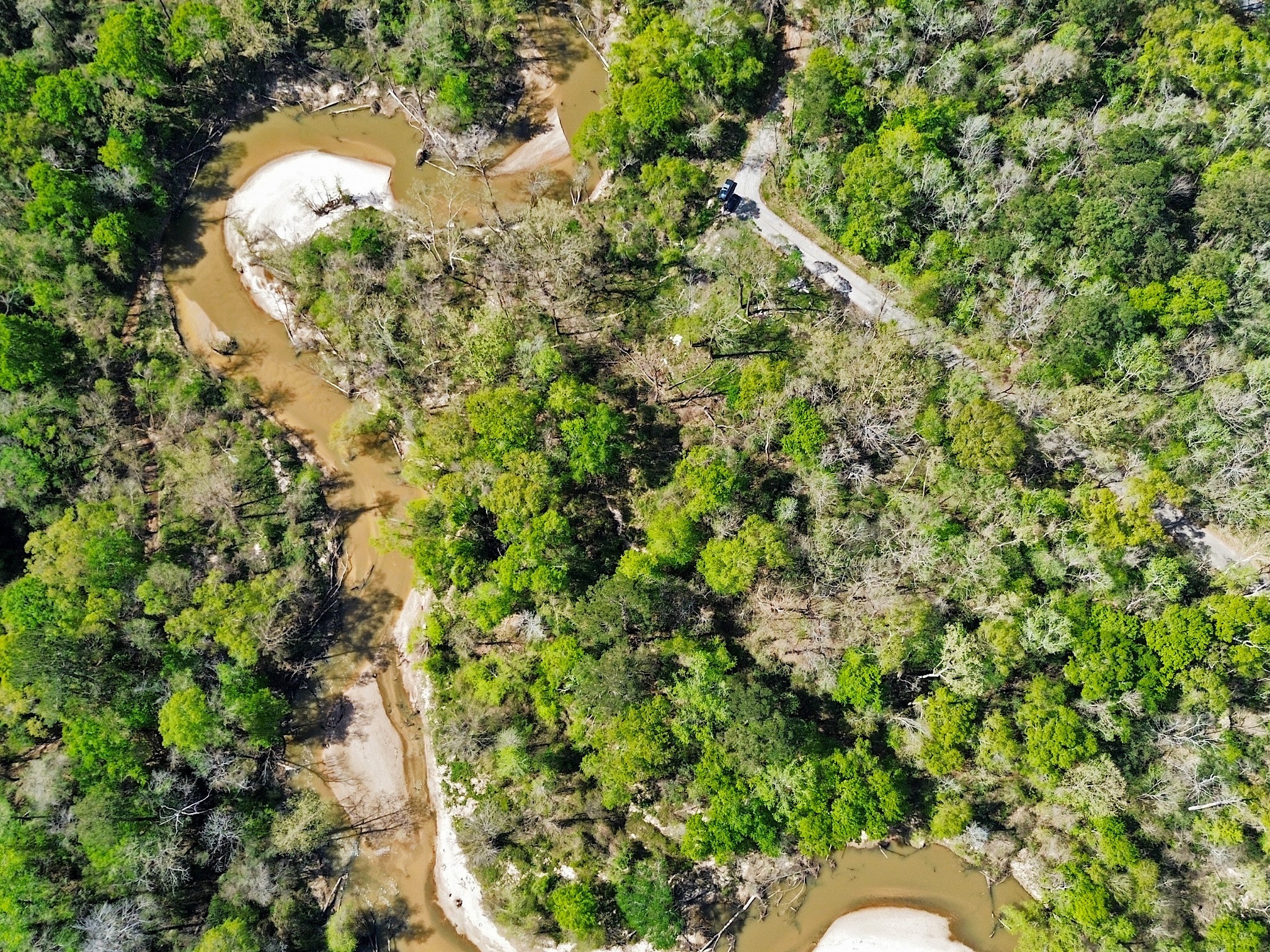 Tbd Riverside Drive New Caney, TX 77357 - Photo 5 of 8 Very secluded lot with easy access to 99