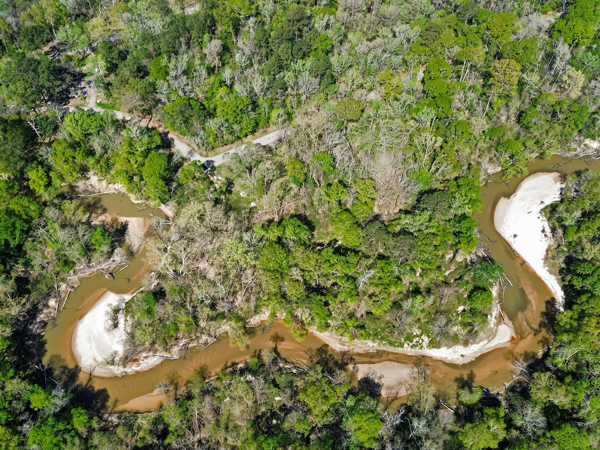 Tbd Riverside Drive New Caney, TX 77357 - Photo 6 of 8 Very secluded lot with easy access to 99