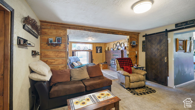 180 North State Street Sigurd, UT 84657 - Photo 21 of 32 Carpeted living area featuring a barn door, a textured ceiling, and wood walls