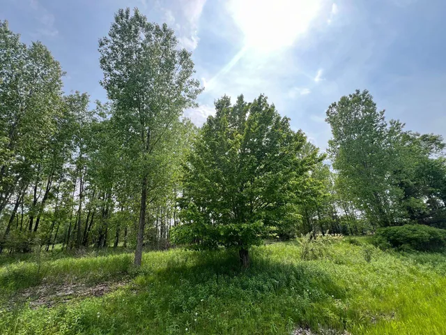 $184,900 | North View Court, Oneida, WI 54155