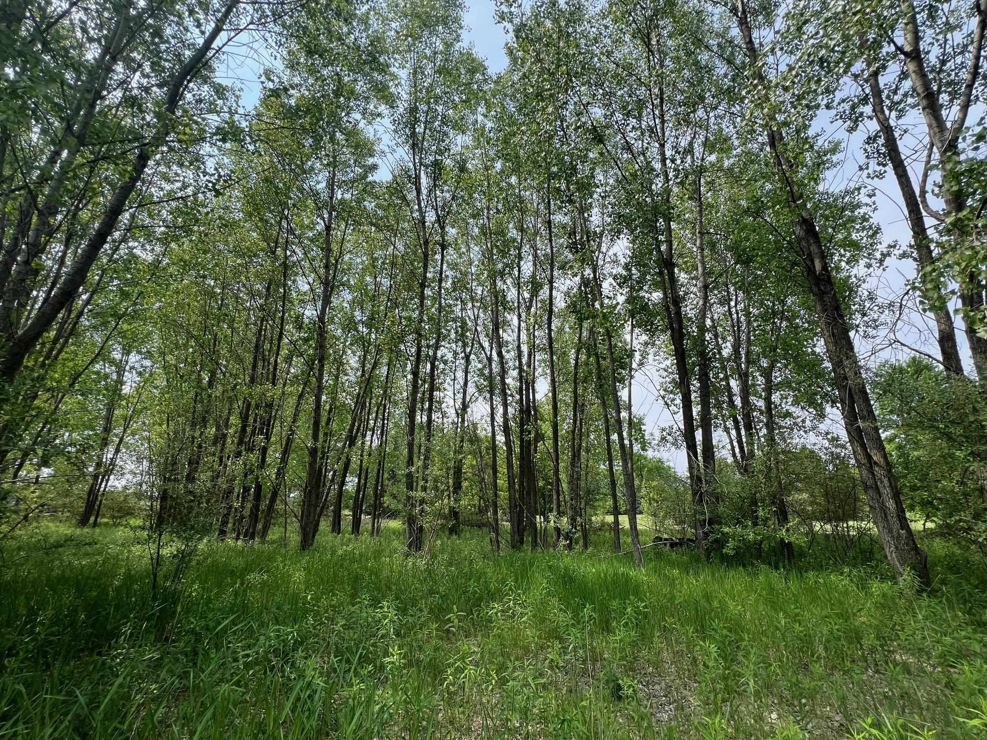 North View Court Oneida, WI 54155 - Photo 11 of 19