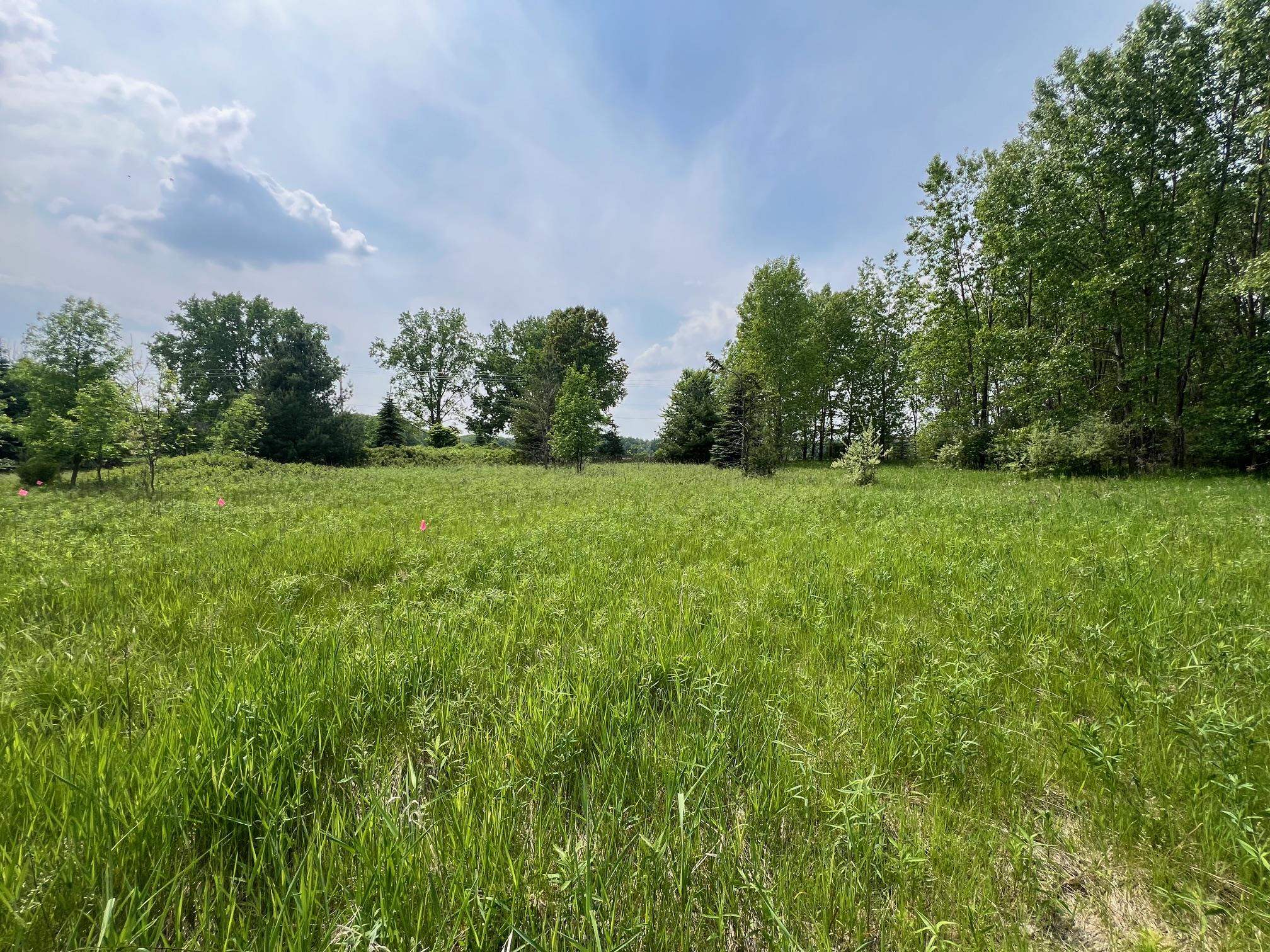 North View Court Oneida, WI 54155 - Photo 12 of 19