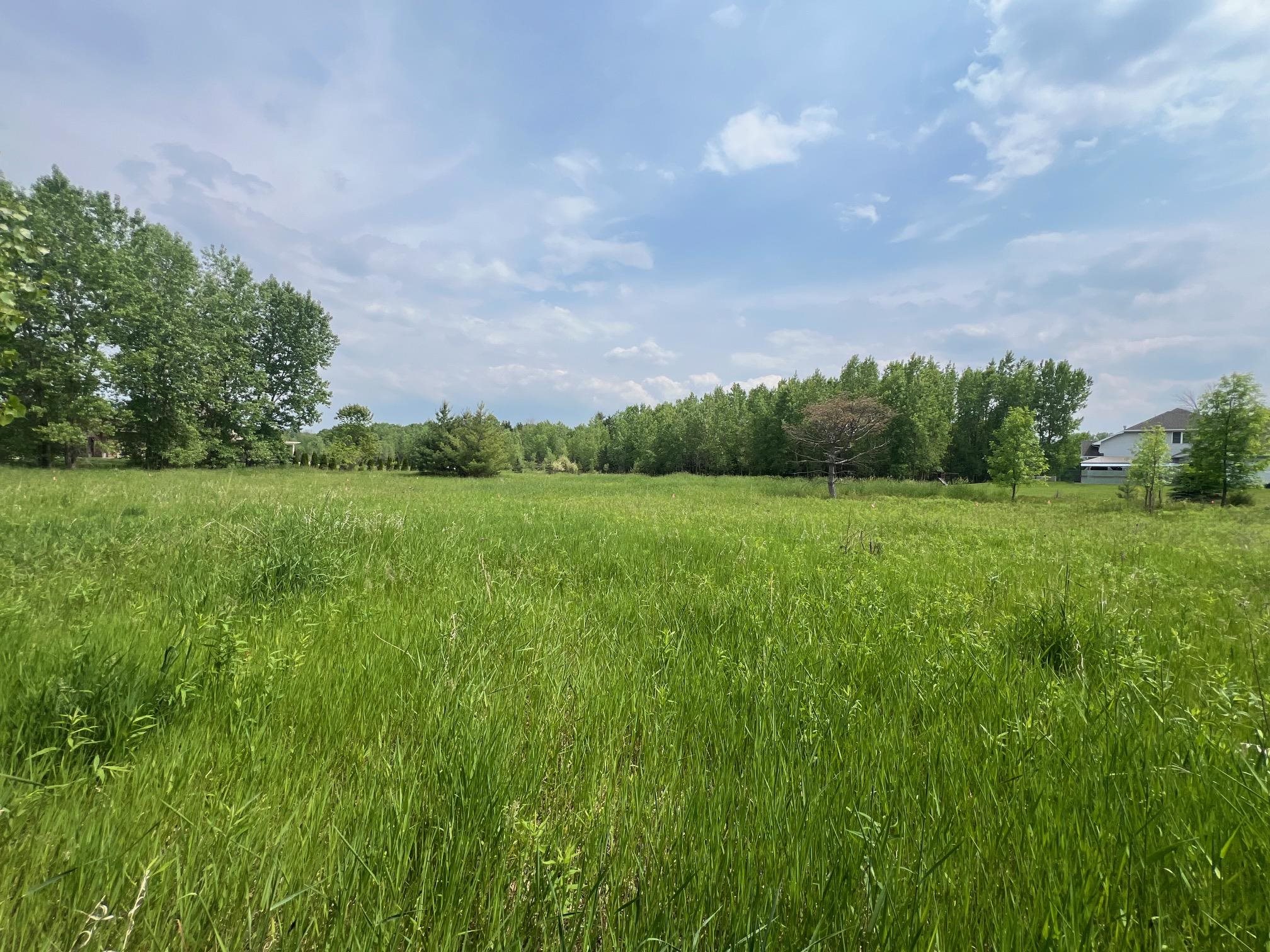 North View Court Oneida, WI 54155 - Photo 15 of 19