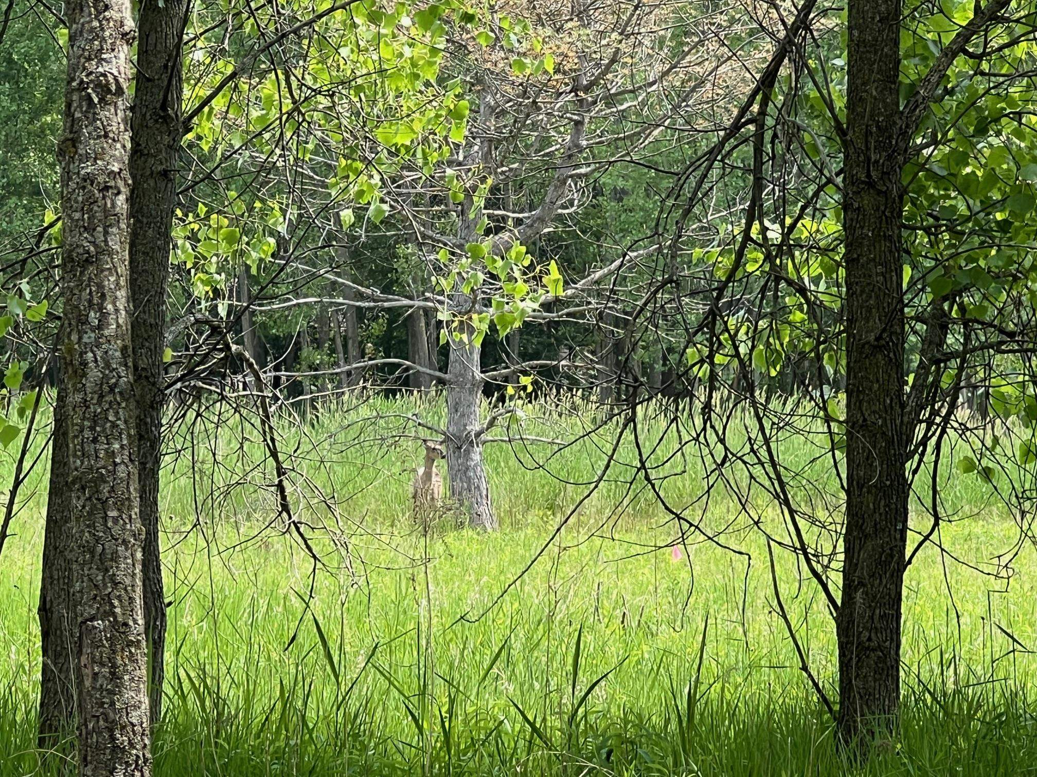 North View Court Oneida, WI 54155 - Photo 16 of 19