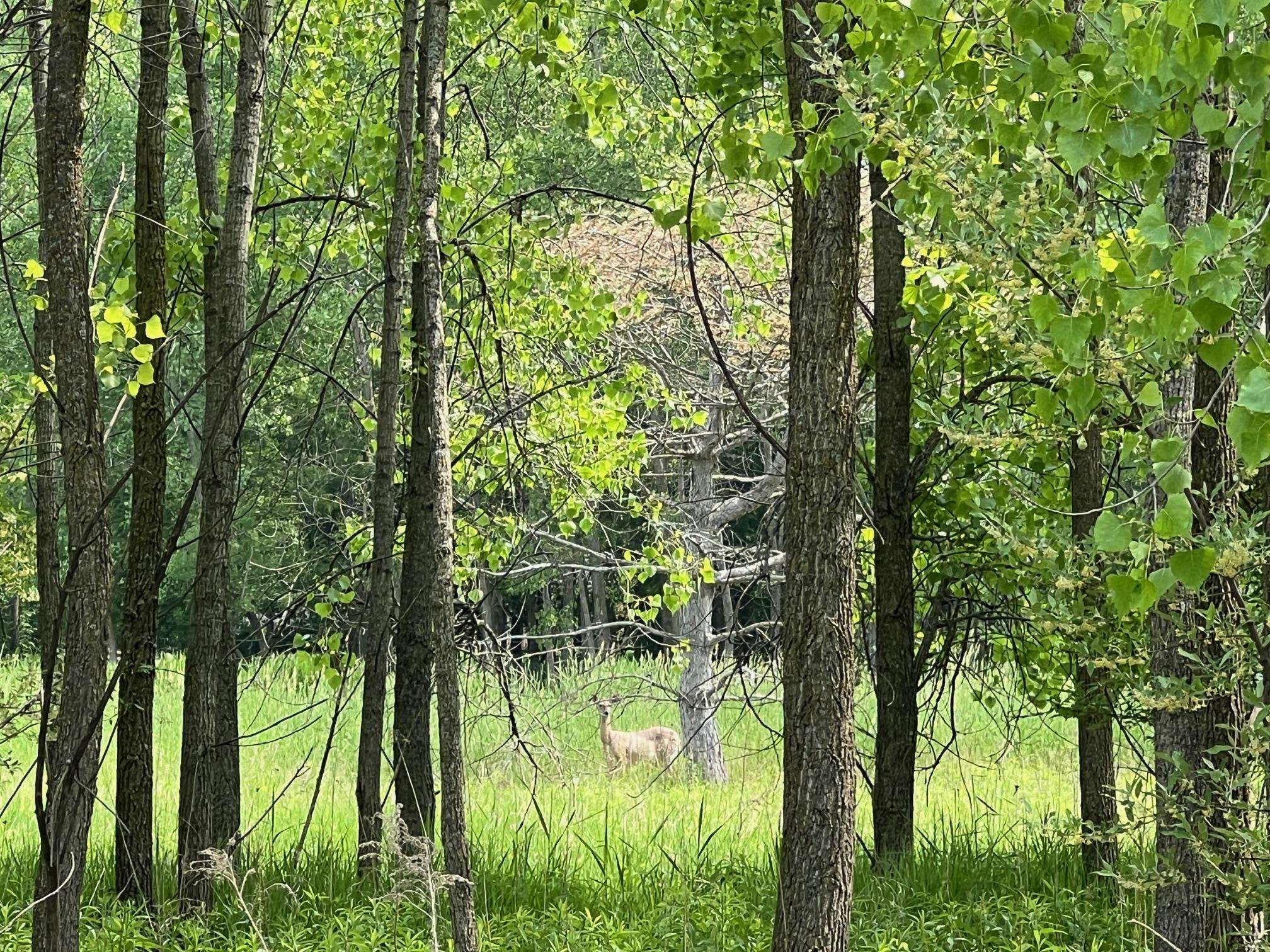 North View Court Oneida, WI 54155 - Photo 17 of 19