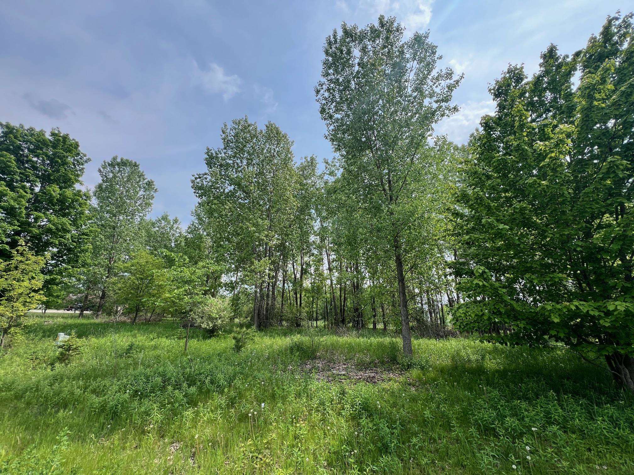 North View Court Oneida, WI 54155 - Photo 18 of 19