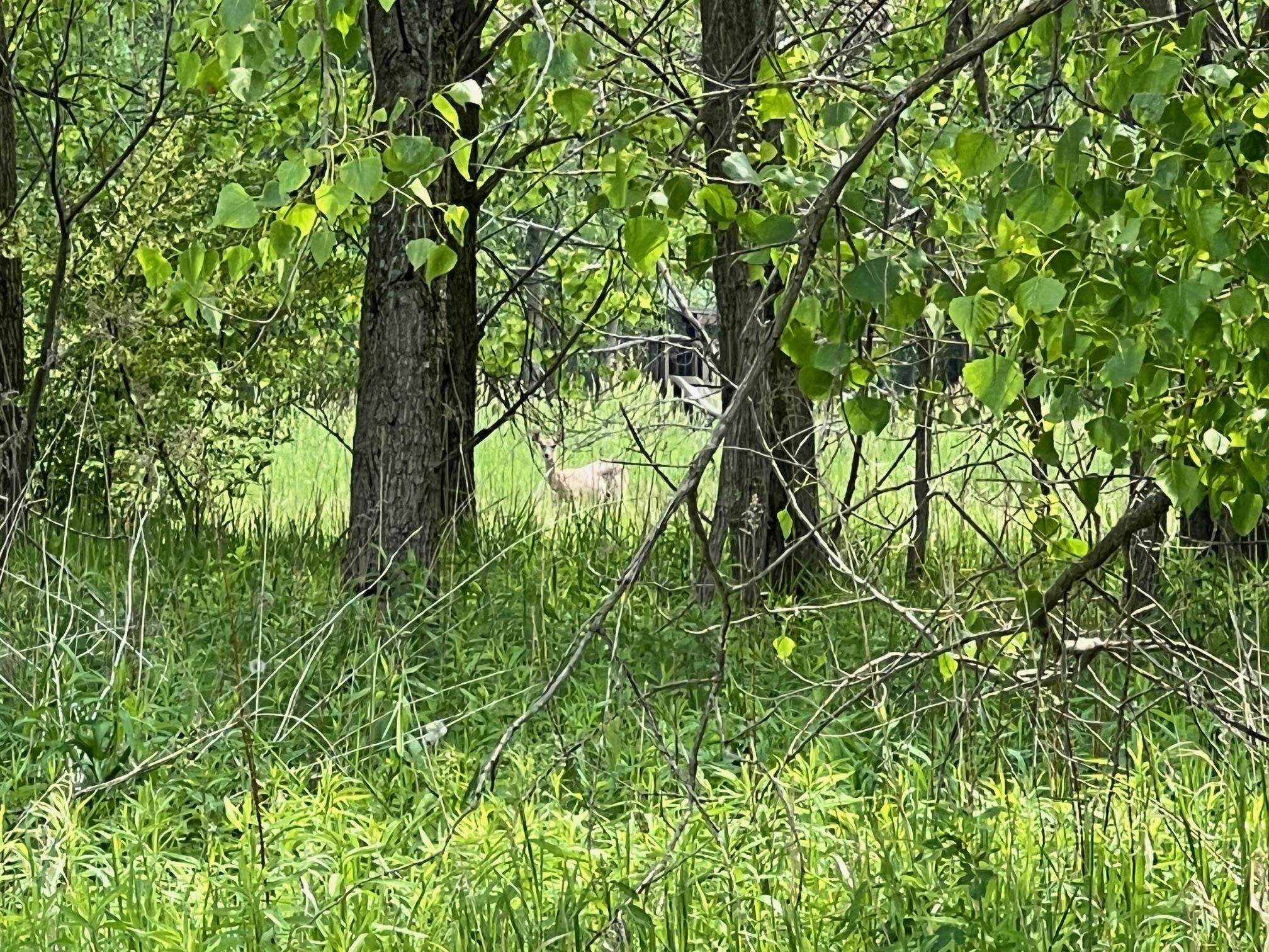 North View Court Oneida, WI 54155 - Photo 19 of 19