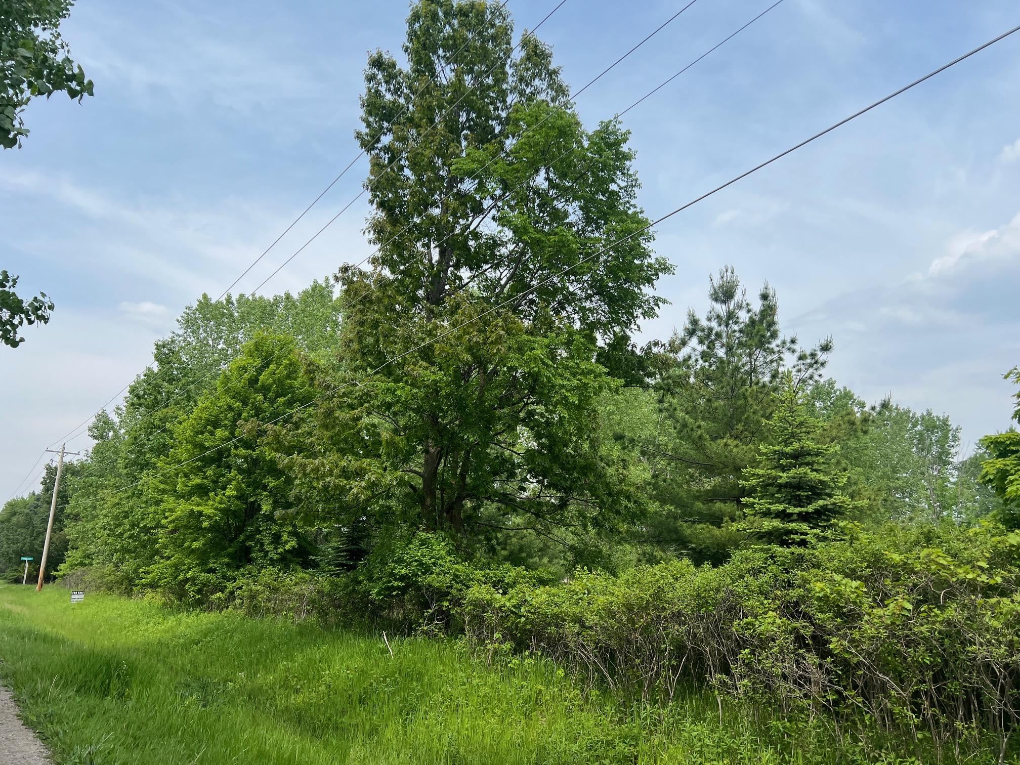 North View Court Oneida, WI 54155 - Photo 3 of 19