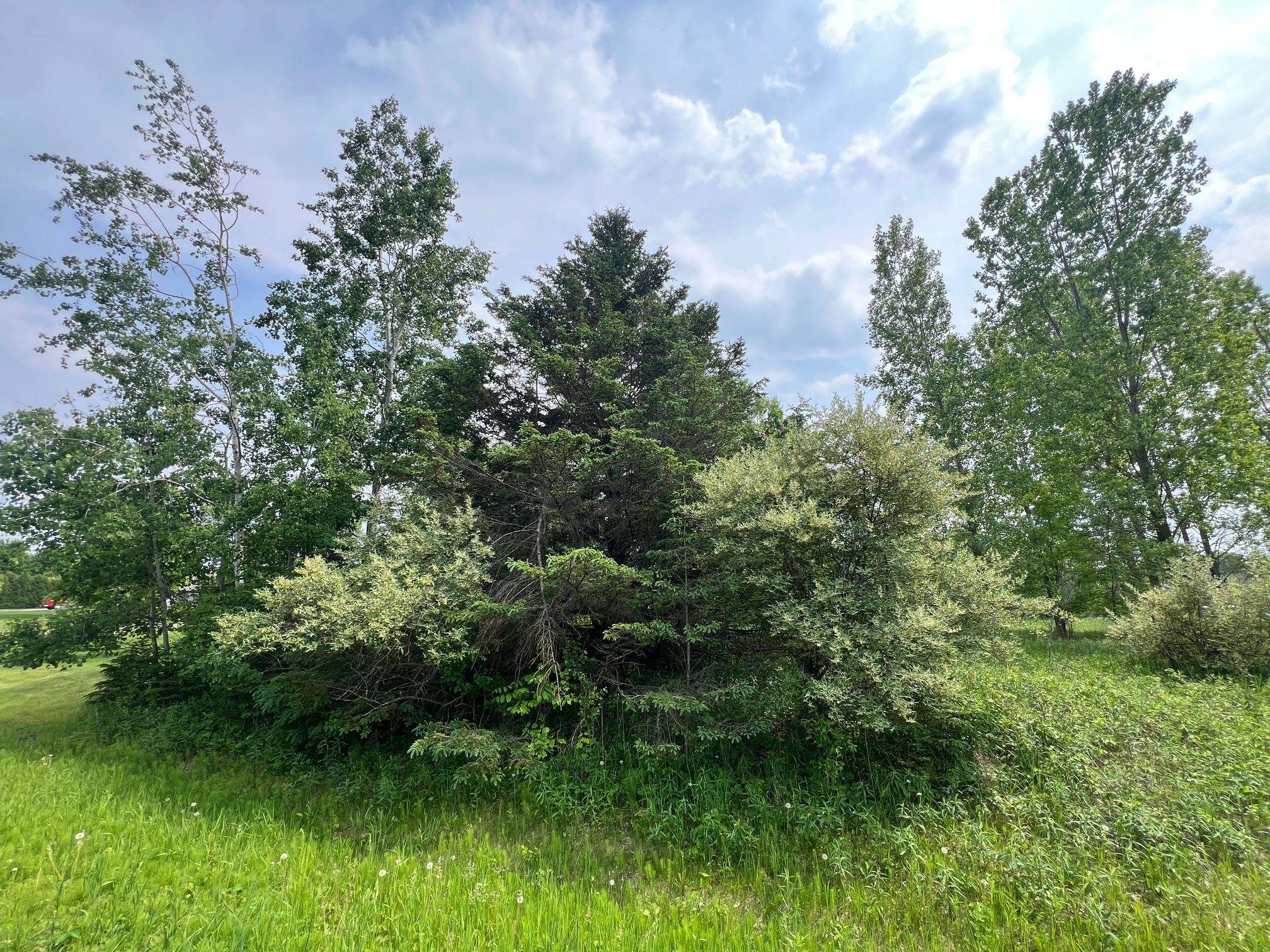 North View Court Oneida, WI 54155 - Photo 5 of 19