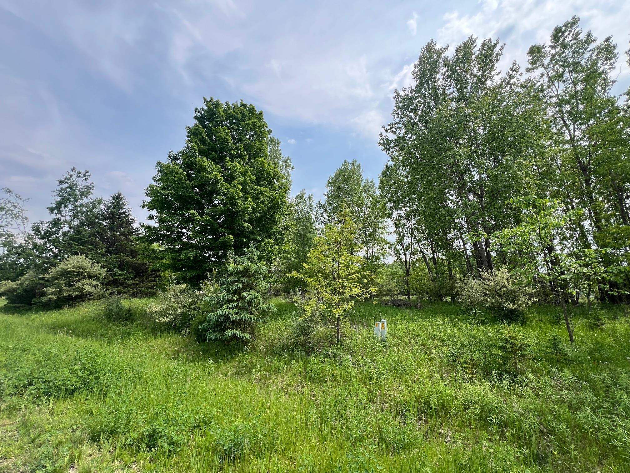 North View Court Oneida, WI 54155 - Photo 7 of 19