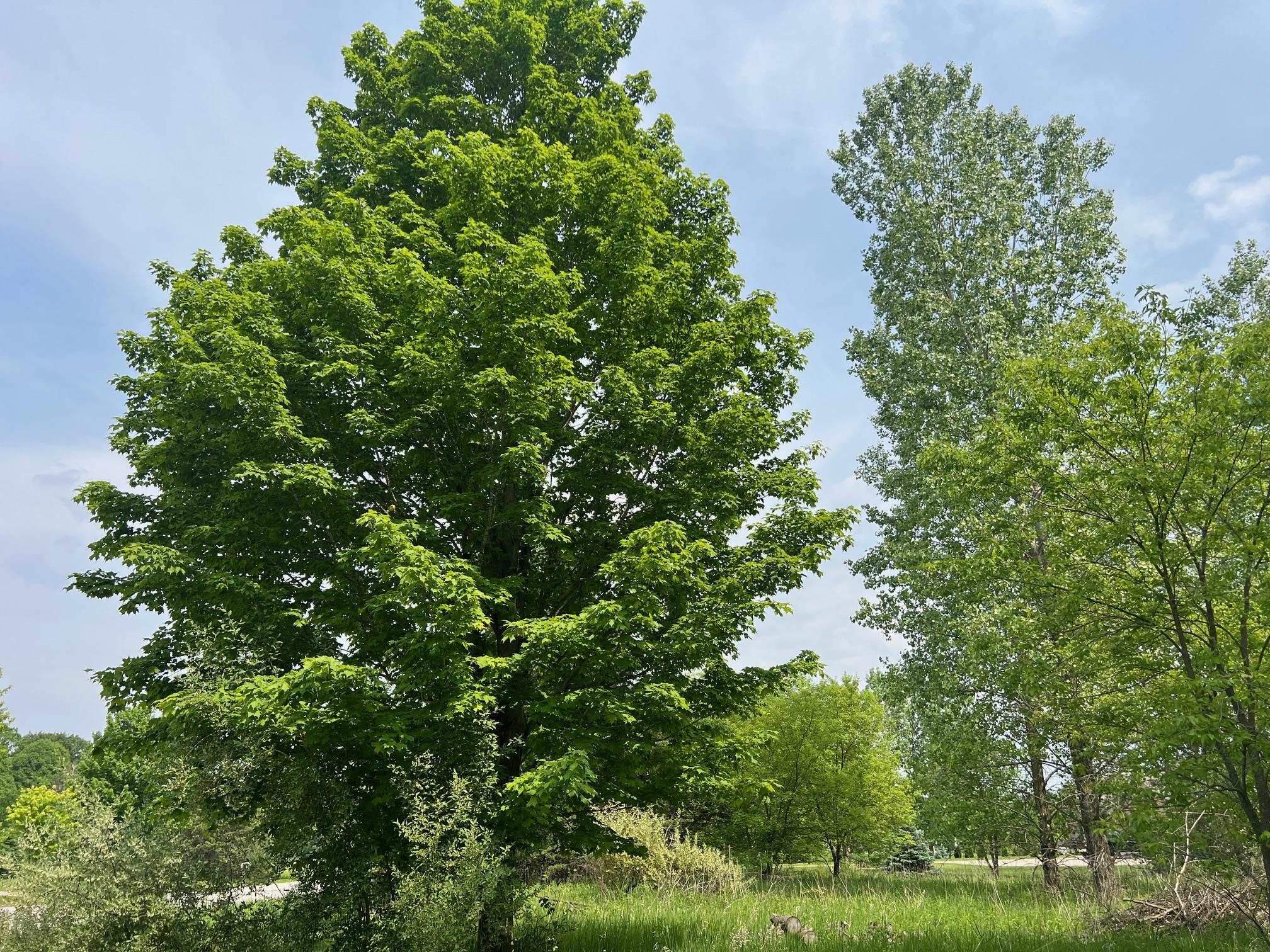 North View Court Oneida, WI 54155 - Photo 9 of 19