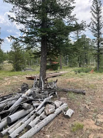 $52,000 | 247 Sutiki Drive, Red Feather Lakes, CO 80545