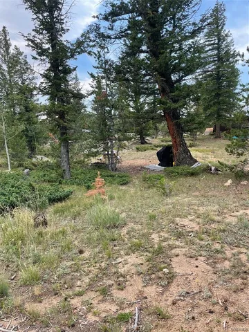$52,000 | 247 Sutiki Drive, Red Feather Lakes, CO 80545