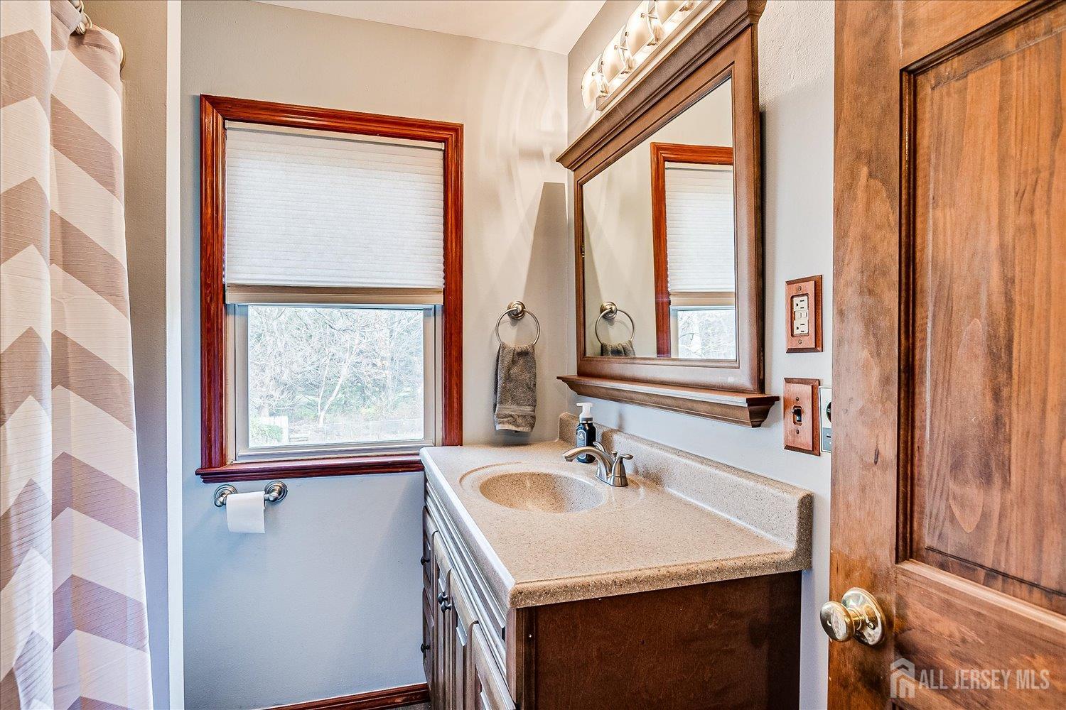 61 Stouts Lane Monmouth Junction, NJ 08852 - Photo 26 of 42 a bathroom with a sink a mirror and a window