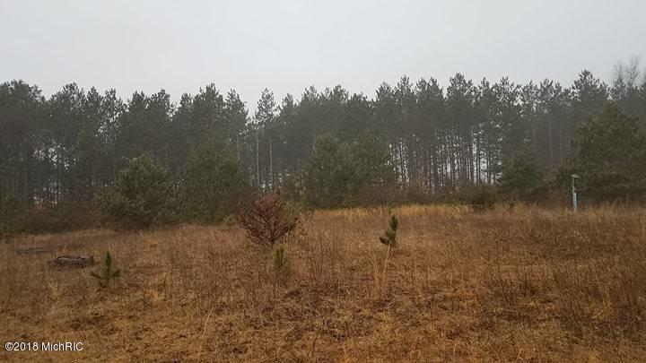 0 Monroe Road White Cloud, MI 49349 - Photo 11 of 11