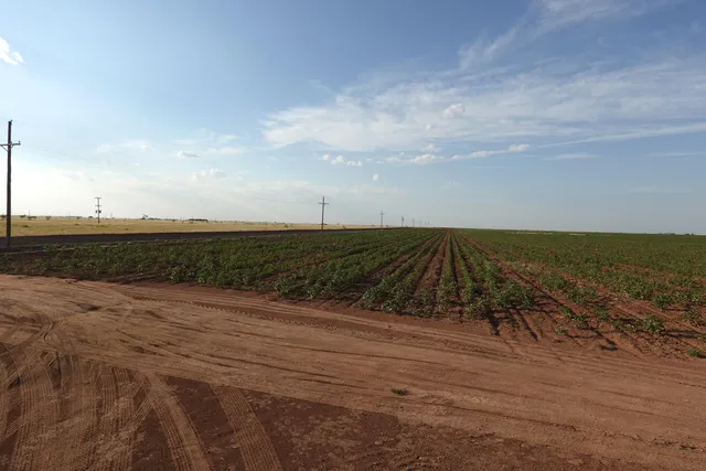 a picture of a room with a shower
