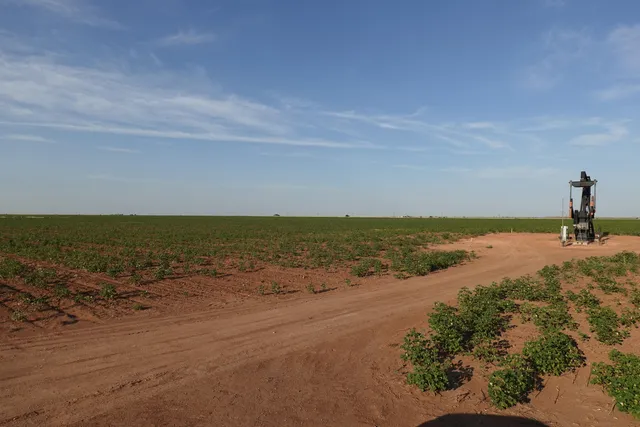 $407,400 | 0 Fm 597, Shallowater, TX 79363