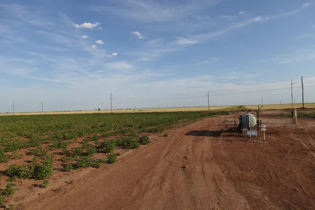 $407,400 | 0 Fm 597, Shallowater, TX 79363