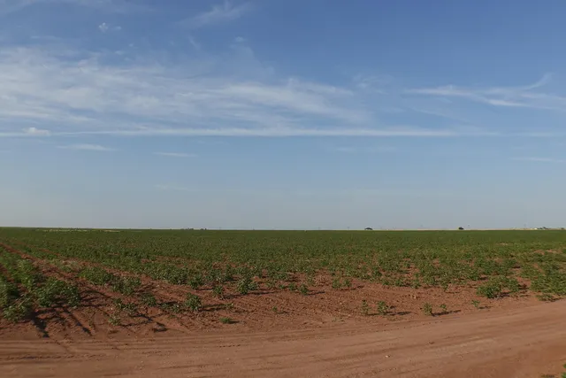 a view of beach and ocean