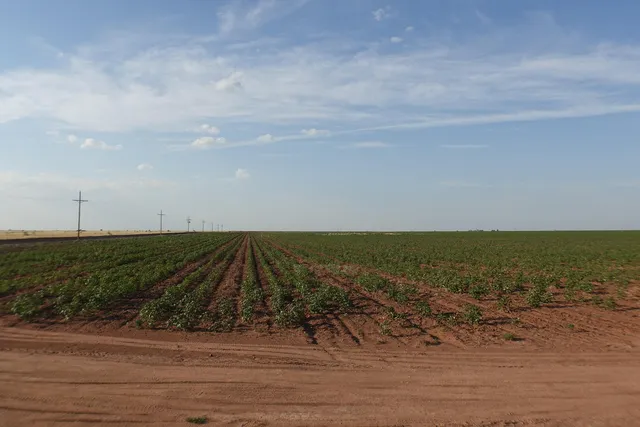 an aerial view of beach and city