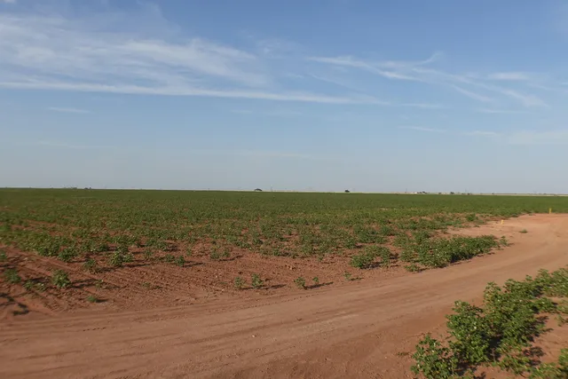 a view of a field with ocean view