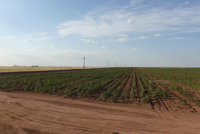 a backyard of a house