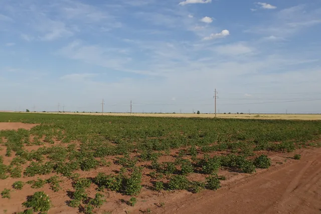 a view of a ocean beach