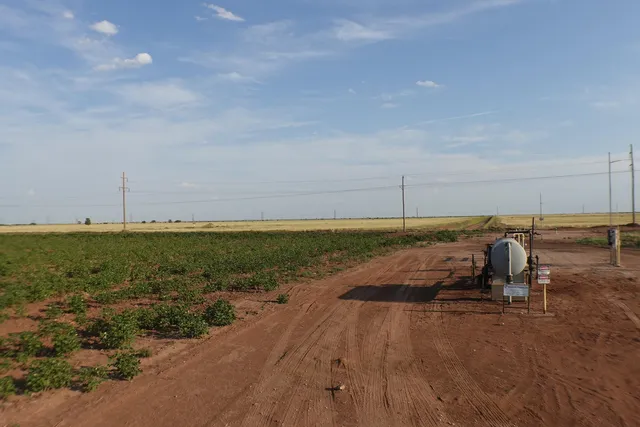a view of an ocean beach
