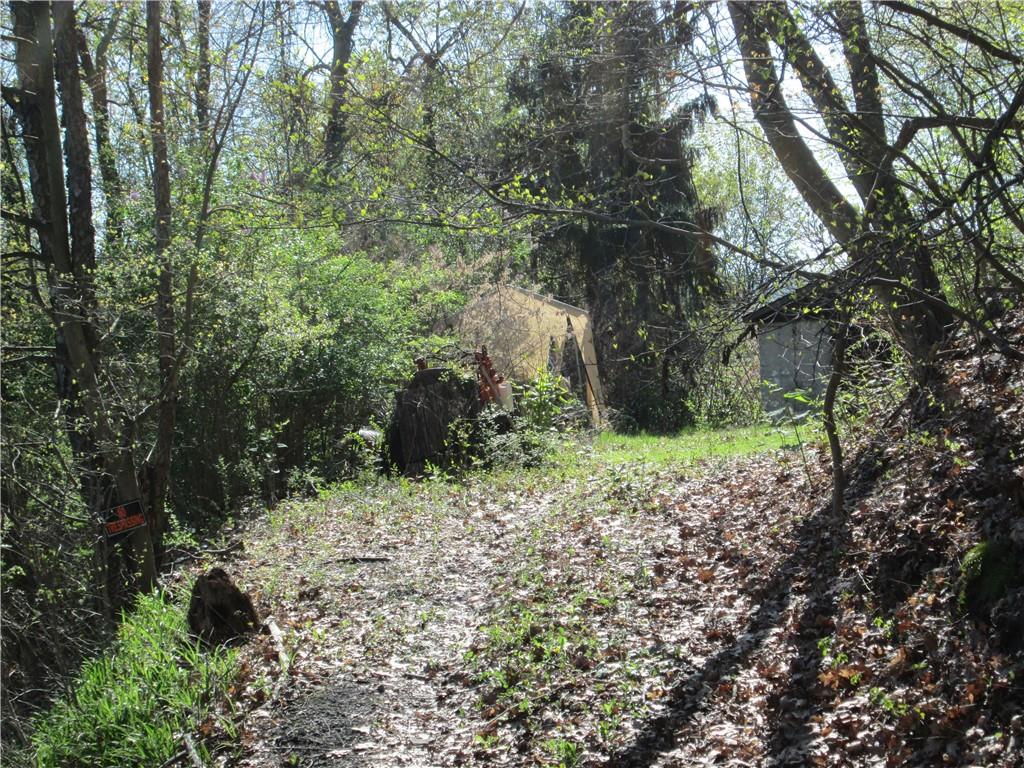 2807 13th Avenue Beaver Falls, PA 15010 - Photo 2 of 4 a view of a yard with plants and large trees