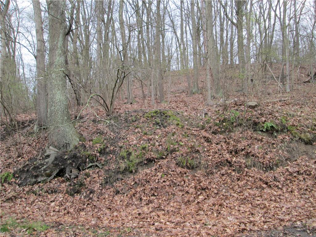 2807 13th Avenue Beaver Falls, PA 15010 - Photo 4 of 4 a view of backyard with green space