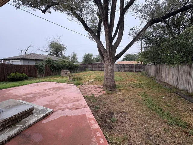 a view of a yard with plants and a tree