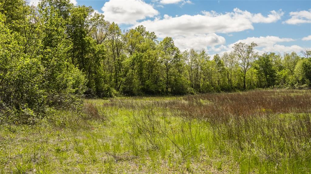 Knox Road Marceline, MO 64658 - Photo 19 of 30 Gallery Image 19