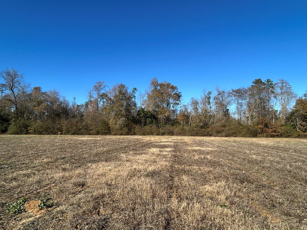 5.296-ac 5.296-ac Road Cottonwood, AL 36320 - Photo 16 of 21