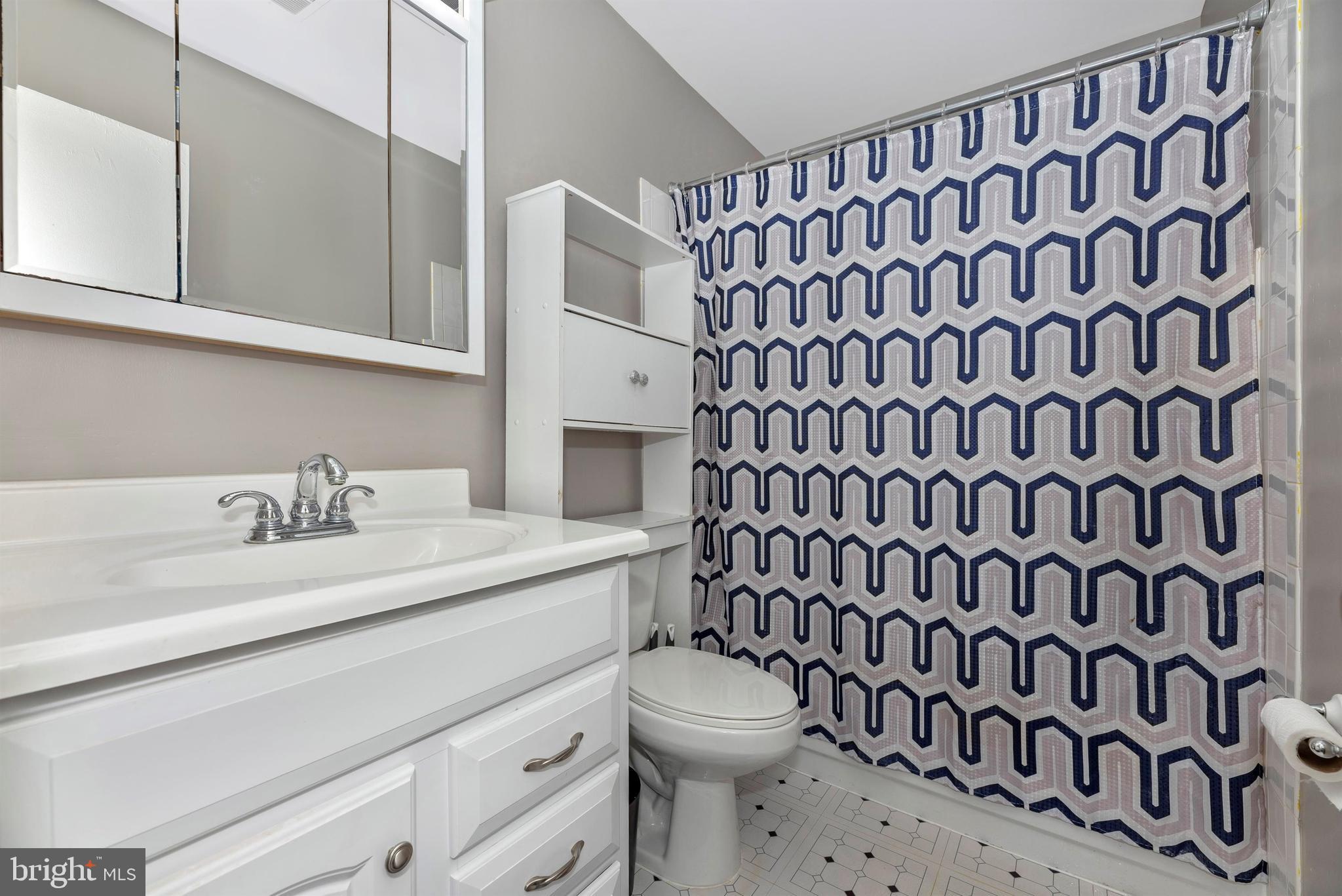 17417 Hoskinson Road Poolesville, MD 20837 - Photo 36 of 45 a bathroom with a sink and a toilet