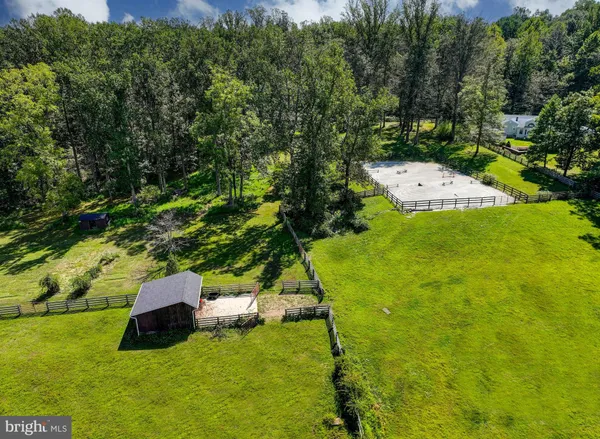 a view of a garden with an outdoor space
