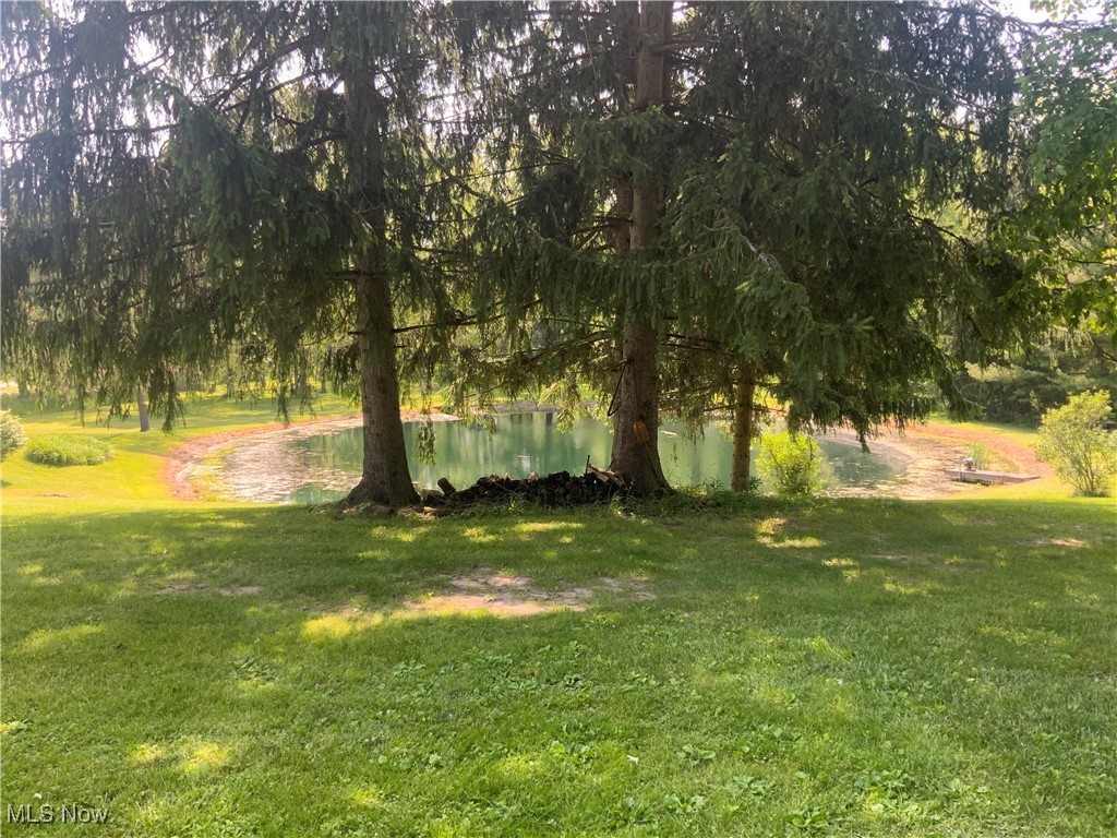 14860 Stoltz Road Diamond, OH 44412 - Photo 25 of 27 View of green lawn