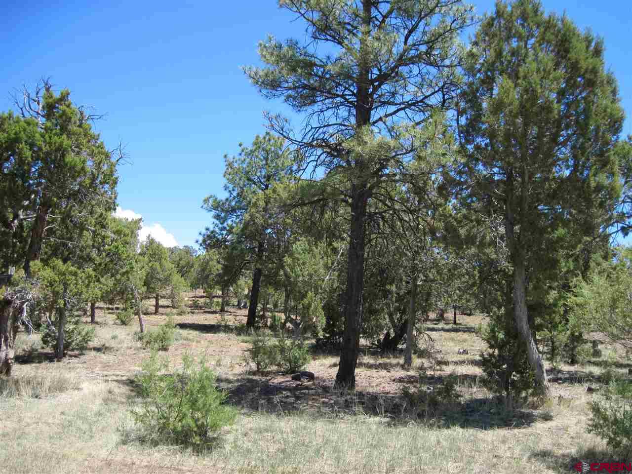 L2 Squaw Apple Road Durango, CO 81301 - Photo 2 of 15