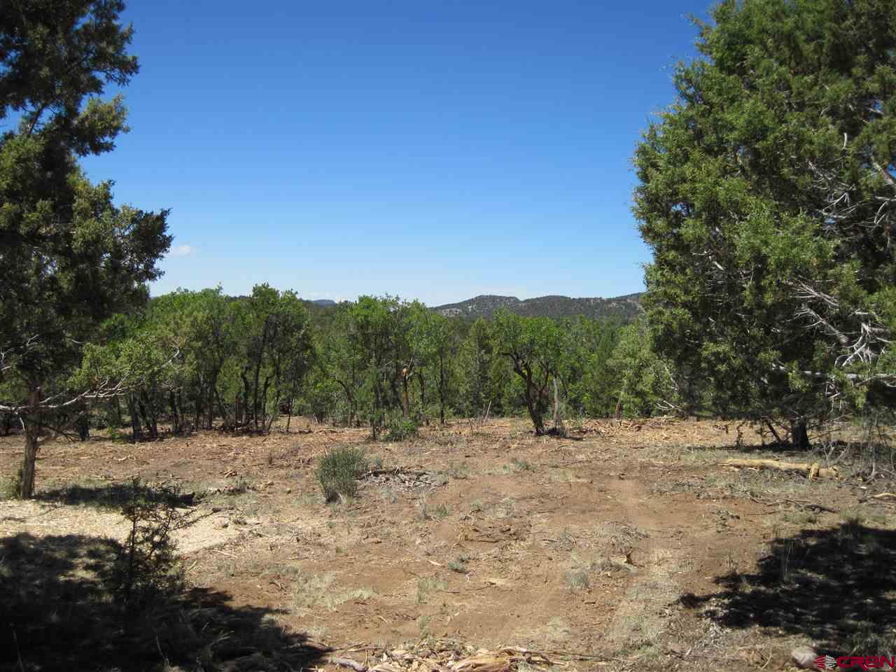 L2 Squaw Apple Road Durango, CO 81301 - Photo 11 of 15