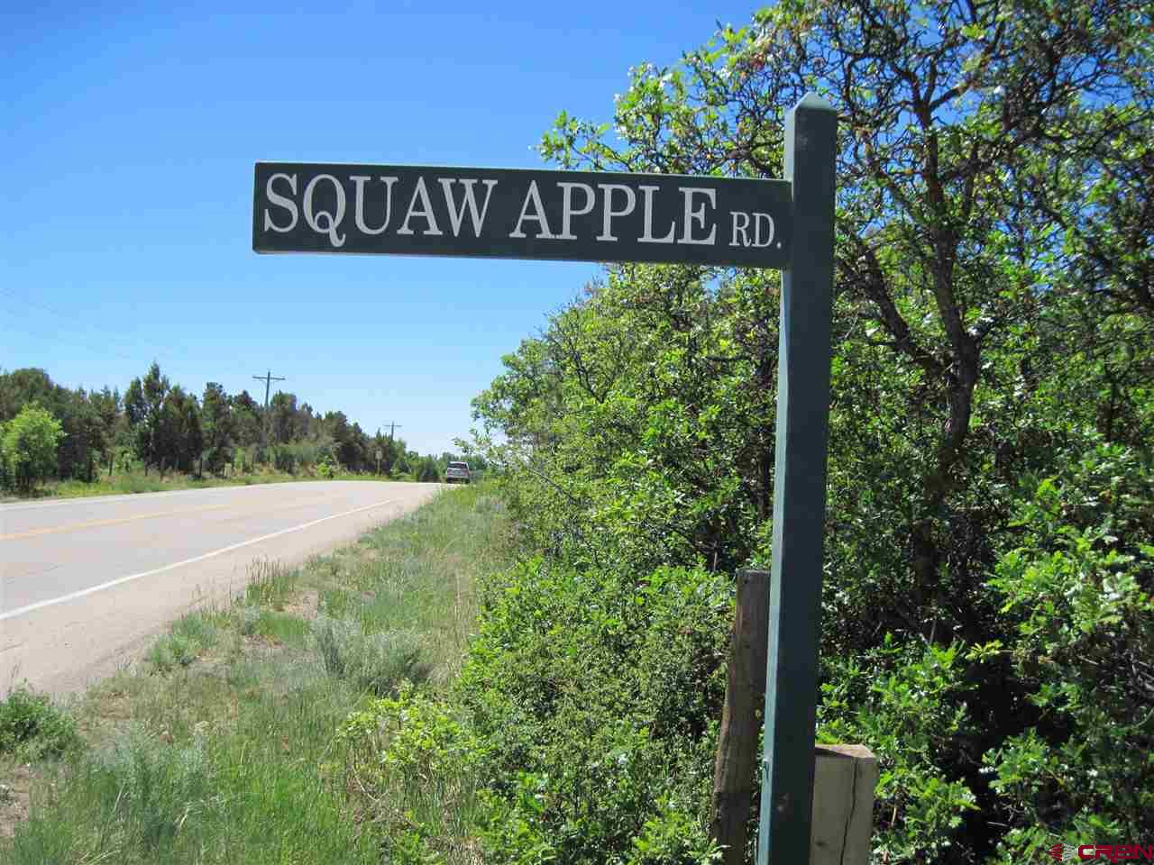 L2 Squaw Apple Road Durango, CO 81301 - Photo 12 of 15