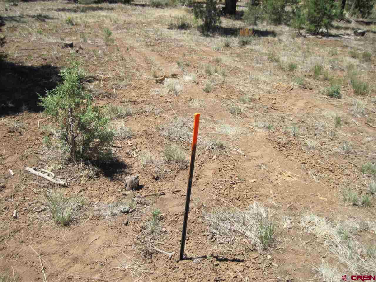 L2 Squaw Apple Road Durango, CO 81301 - Photo 14 of 15