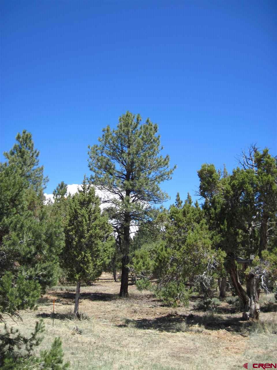 L2 Squaw Apple Road Durango, CO 81301 - Photo 3 of 15